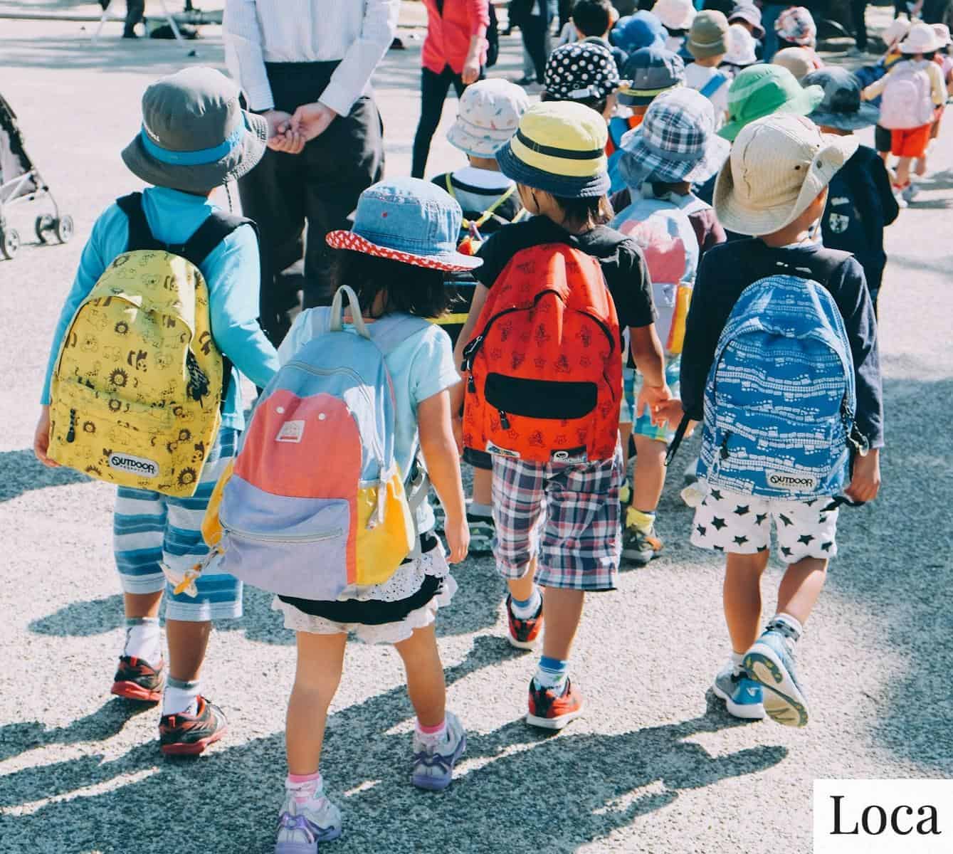 monitores escolares