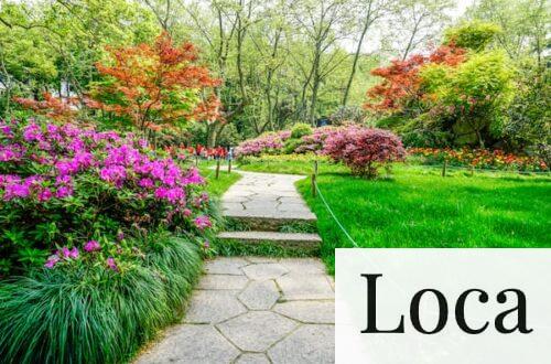 jardines