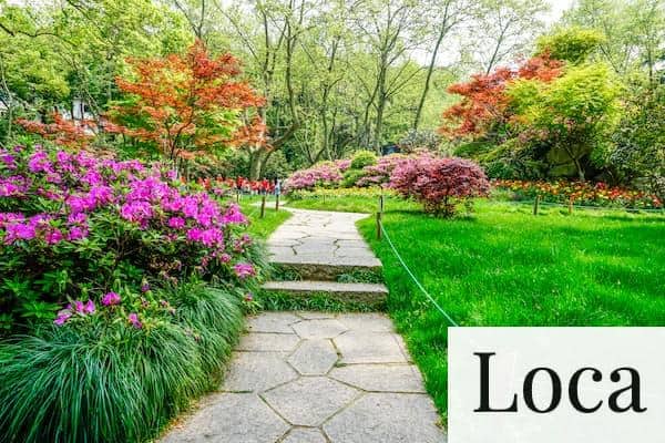 jardines